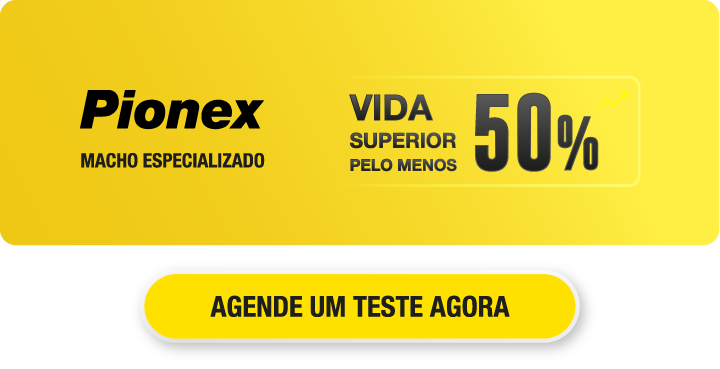 MACHO PARA FAZER ROSCA